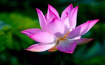 Thở để nhìn thấy chính mình